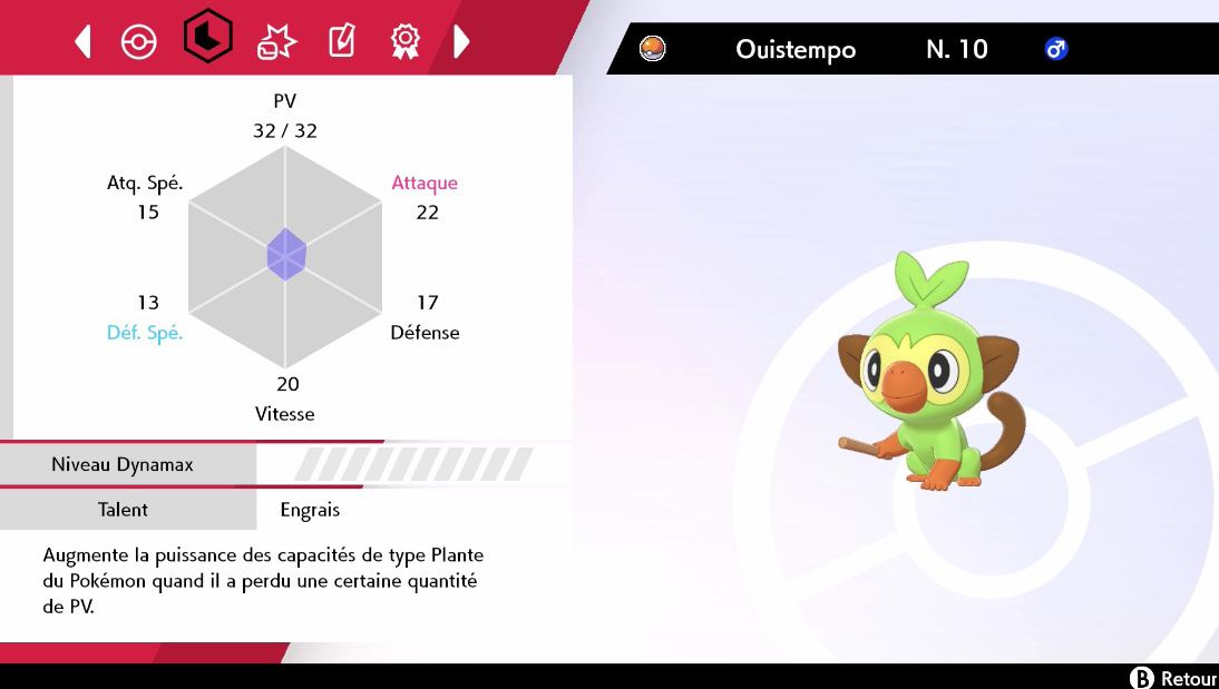 Les Champions d'Arène | Pokémon Épée et Pokémon Bouclier