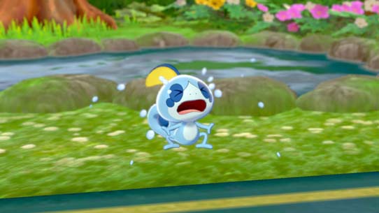 Mijumaru Sobble da vida real. - Como Breedar seu Pokémon